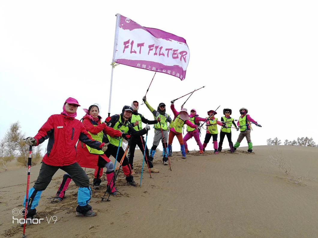 एक्रिलिक पीपी शीसे फाइबर धूल कलेक्टर फिल्टर बैग 9